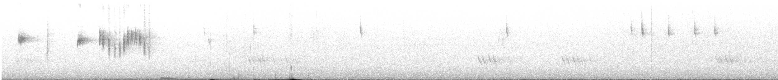 Spotted Scrubwren - ML647878506