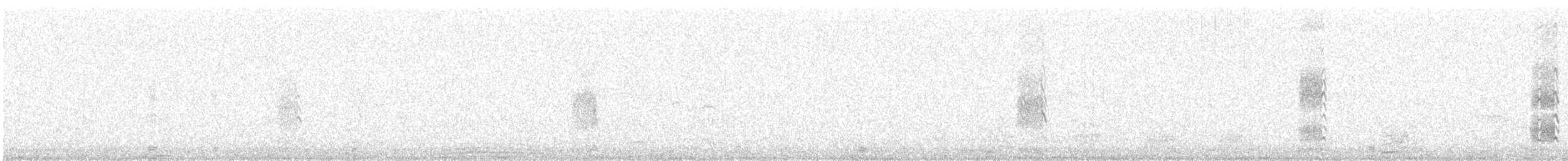 Istingor arrunta - ML647878980