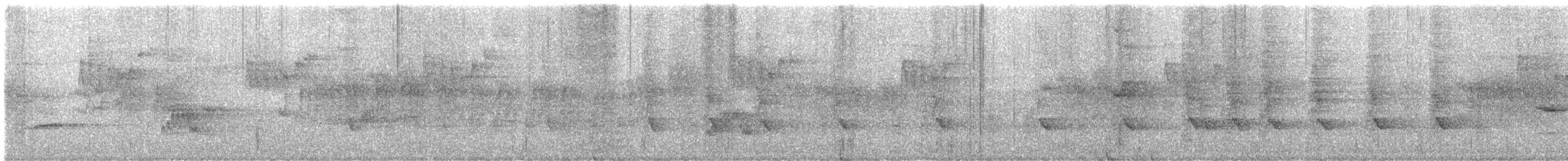 Lesser Racket-tailed Drongo - ML647878986