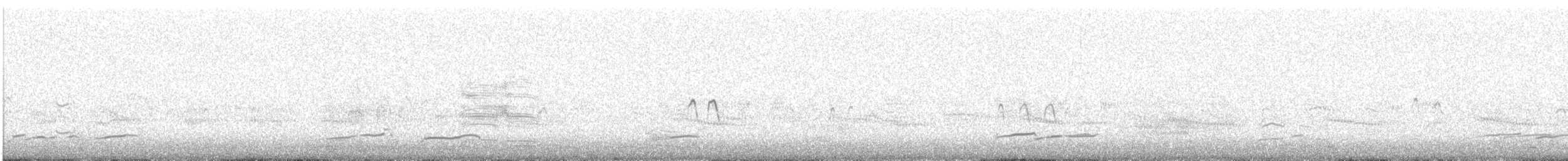 Eurasian Curlew - ML647879025