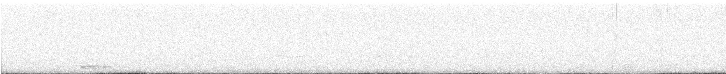 ハイイロガン - ML647879122