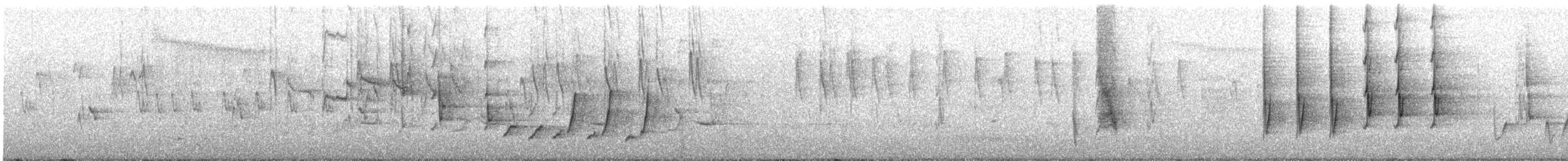 サメイロミツスイ - ML647879150
