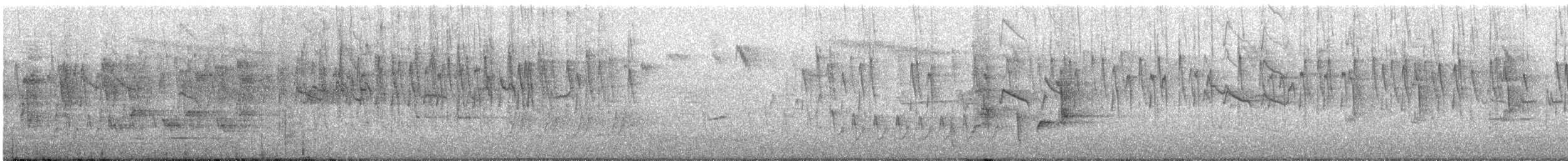 オーストラリアゴジュウカラ（pileata） - ML647879160