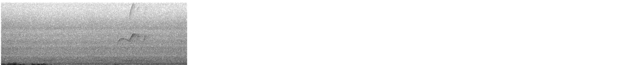 Solitary Sandpiper - ML647879453