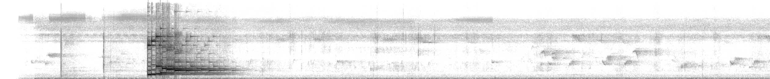 小卷尾 - ML647879501