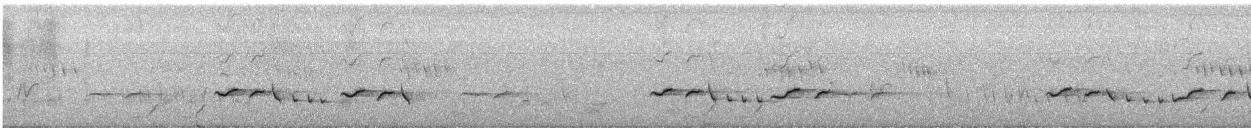 Белокрылый тугайный соловей - ML647879565