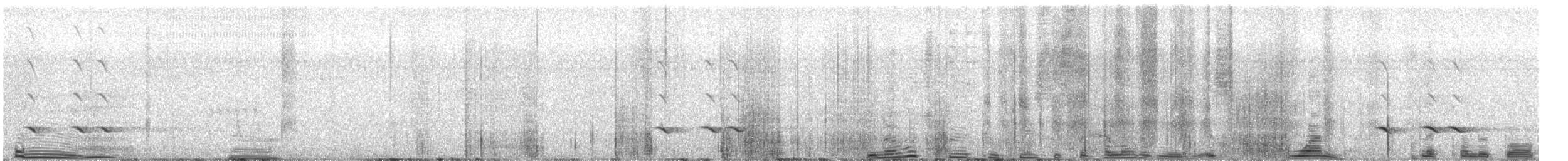 Gonolek bacbakiri - ML647879758