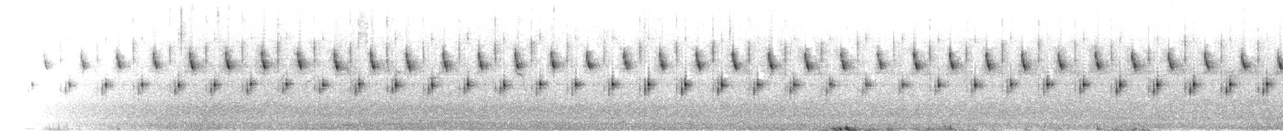 Locustelle à long bec - ML647879781