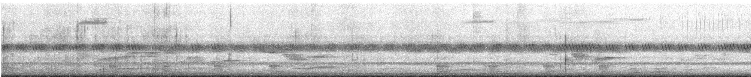 Engoulevent de Horsfield - ML647879816