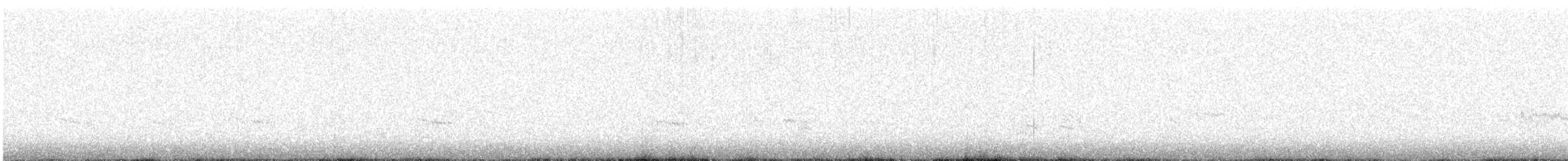 Bécasseau variable - ML647879821