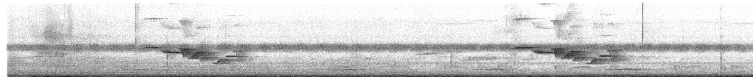 Shama dayal (groupe saularis) - ML647879822