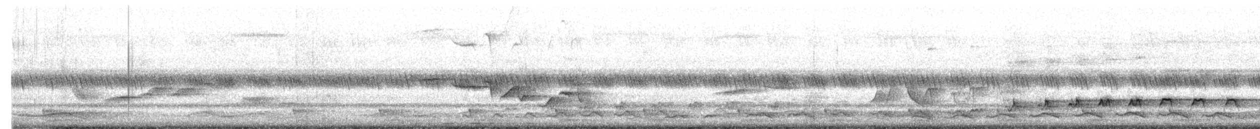 Coucou koël - ML647879827