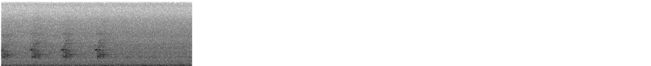 Amazone à lores rouges - ML647879894