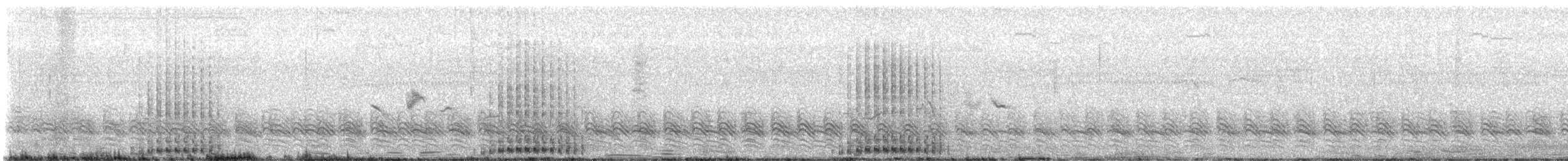 Blue Crane - ML647879939