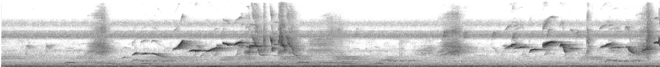 Martin à tête blanche - ML647879983