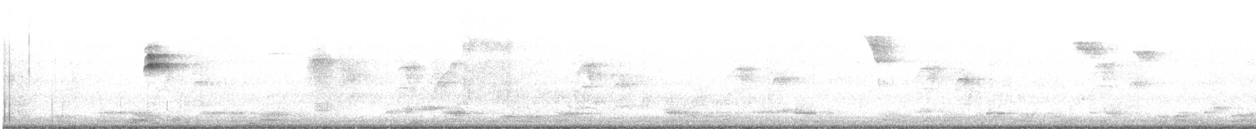 Pouillot à pattes claires - ML647880035