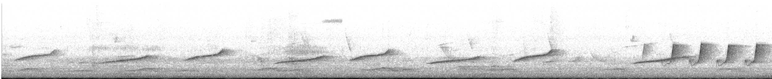 Сорочий шама [группа saularis] - ML647880159