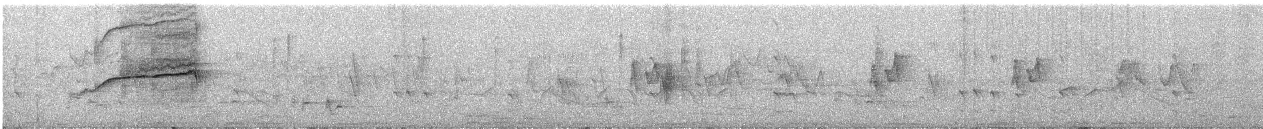 Garrulaxe à gorge blanche - ML647880220