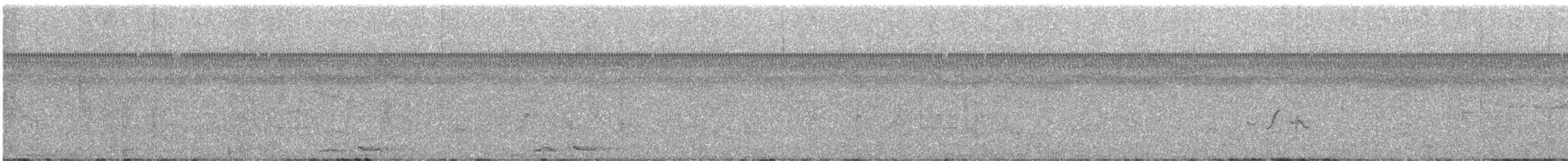 Barbu à gorge bleue - ML647880580