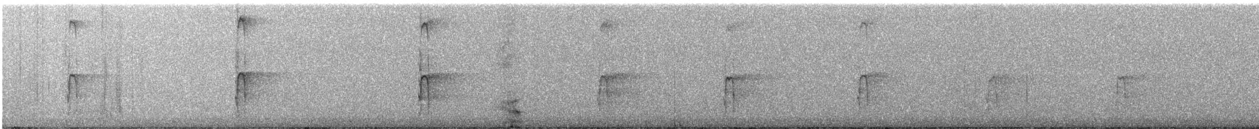 Sert Tüylü Ağaçkakan - ML647880635