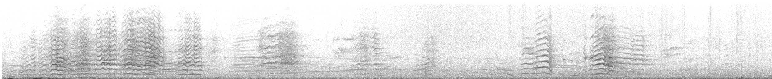 Cacatúa Sanguínea - ML647880760