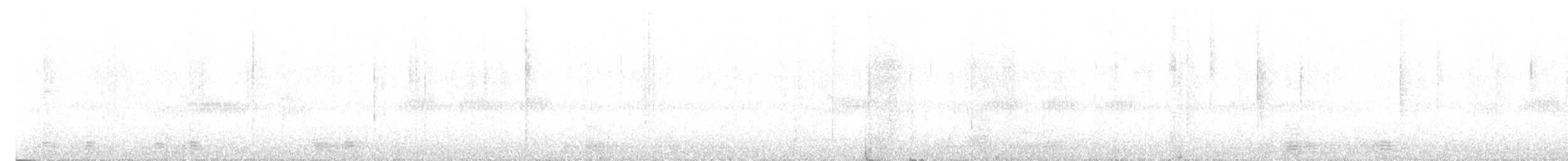 Cálao Bicorne - ML647880801