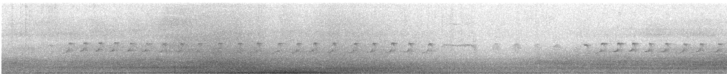 Pied-billed Grebe - ML647882750