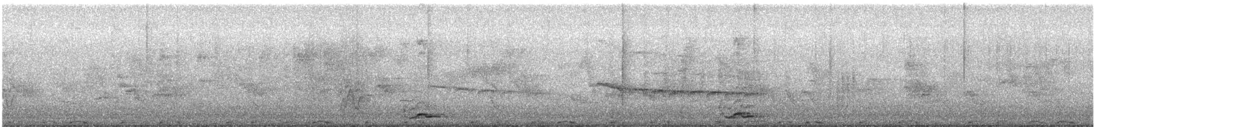 Southern Boubou - ML647882801