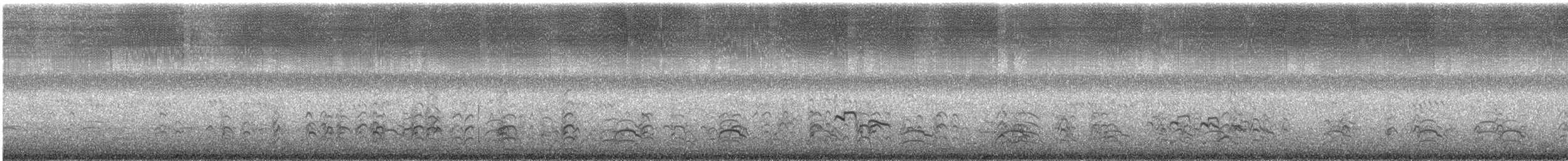 Schwarznacken-Stelzenläufer - ML647882861