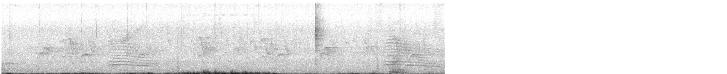 Hadada Ibis - ML647882894