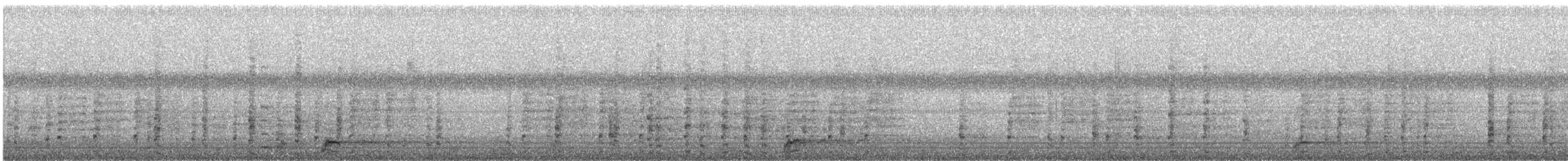 Nitticora - ML647883110