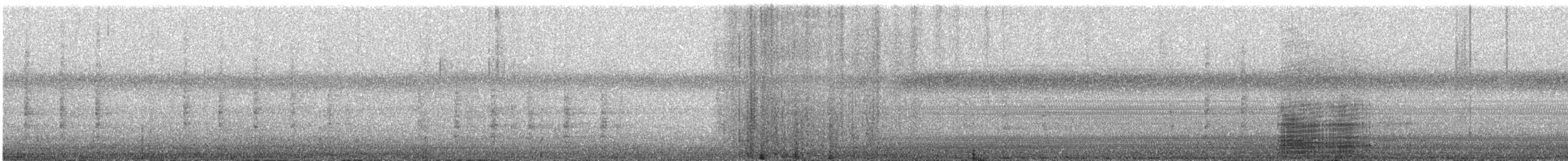 Airone bianco maggiore - ML647883120