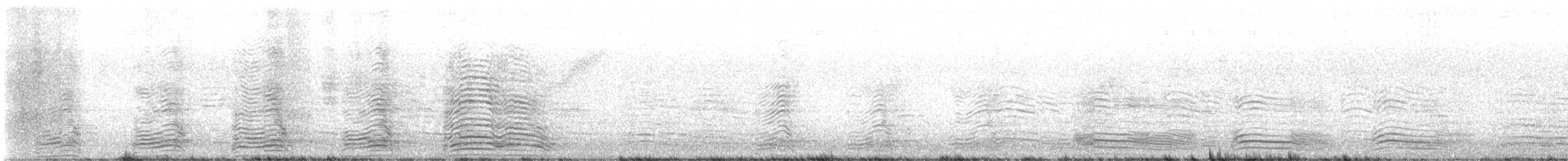 Hadada Ibis - ML647883183