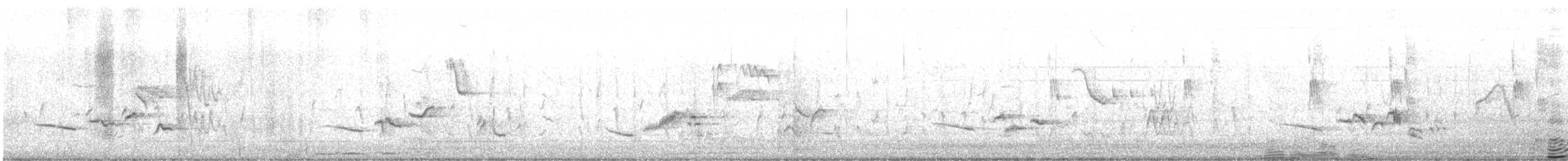 Cape Robin-Chat - ML647883452