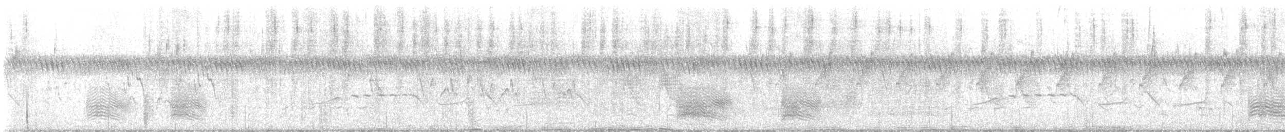 Rolle violet - ML647884178