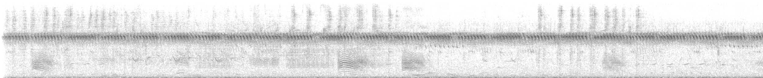 Zimtracke - ML647884193