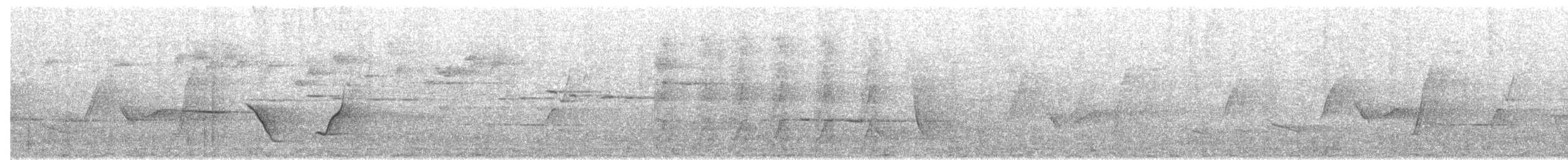 Silbador Oliváceo - ML647884881