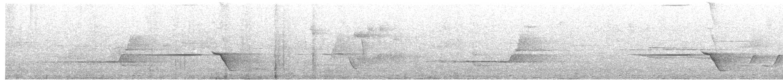 Silbador Oliváceo - ML647884882