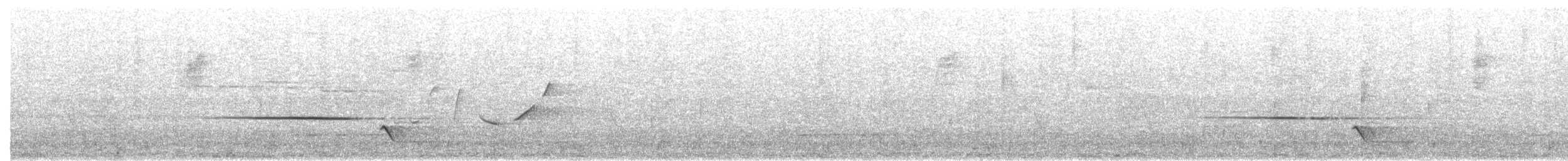 Silbador Oliváceo - ML647884884