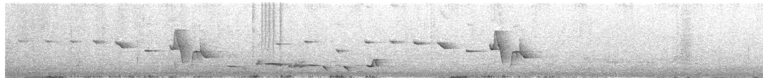 Picocerdas Rufo - ML647885028