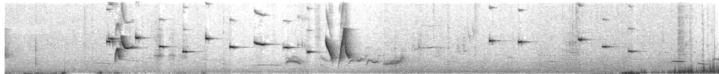 Picocerdas Rufo - ML647885034