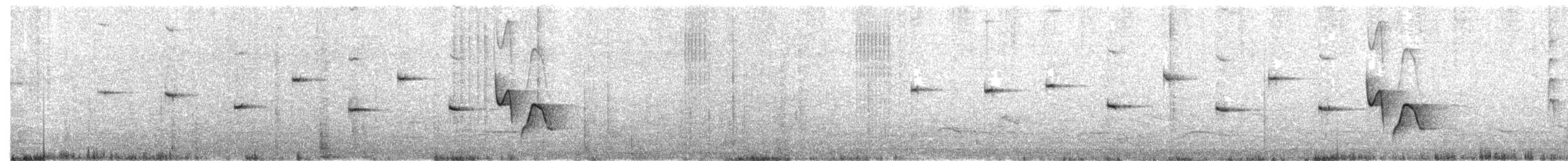 Picocerdas Rufo - ML647885036