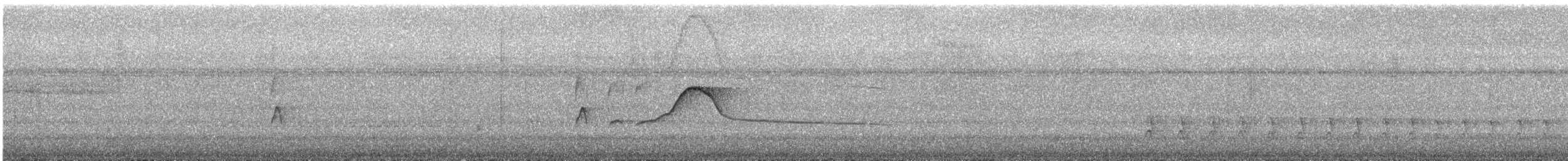 Red-capped Manakin - ML647885368