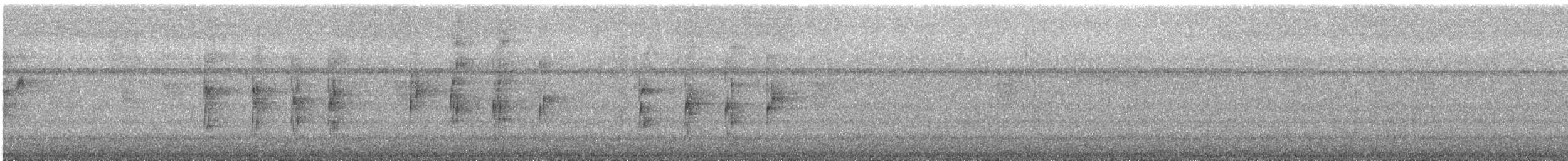 Red-capped Manakin - ML647885370