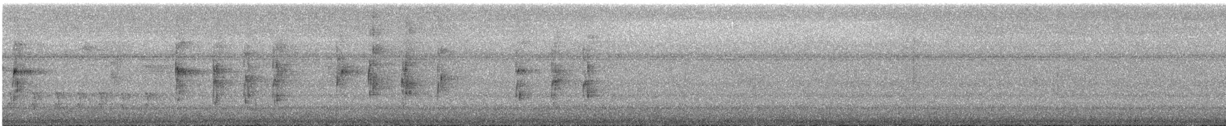 Red-capped Manakin - ML647885371