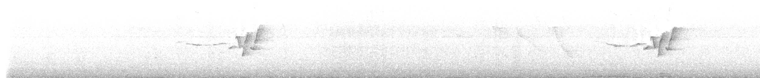 Cabanis's Wren - ML647887464