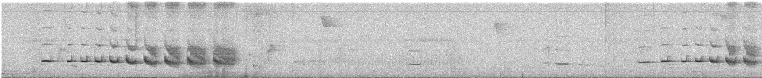 Imeri Warbling-Antbird - ML647887583