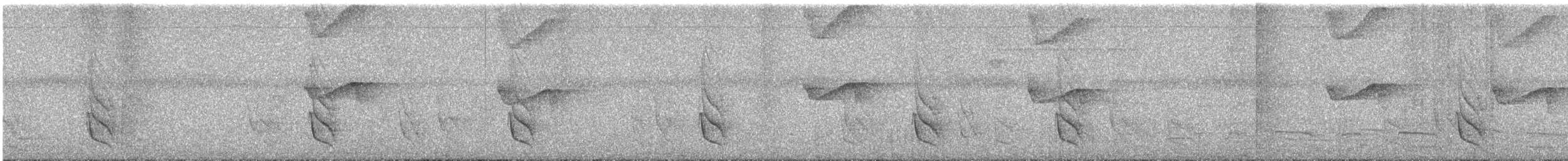 Cherrie's Antwren - ML647887750