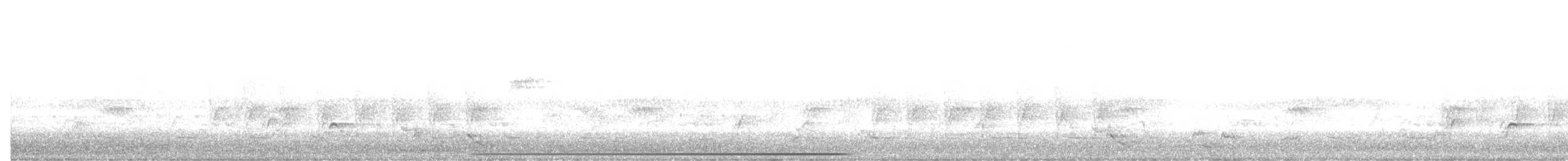 Buff-spotted Flufftail - ML647887958