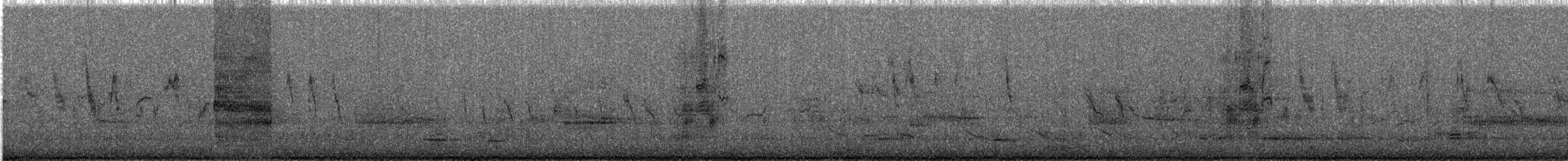 Common Grackle - ML647888007